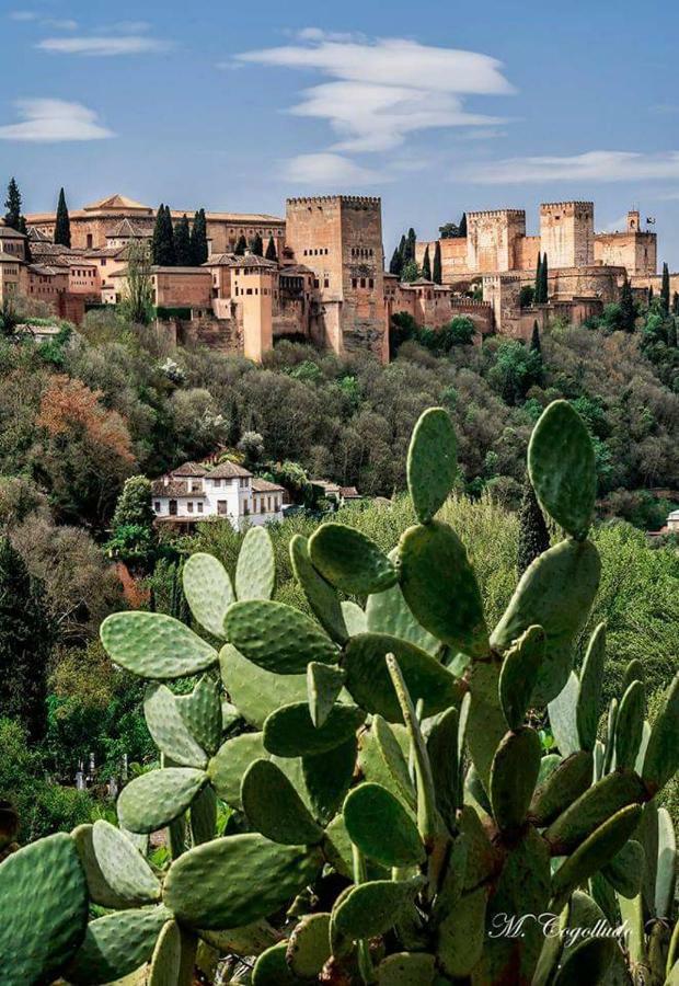 Apartamento Realejo Centro Ciudad Granada Eksteriør bilde